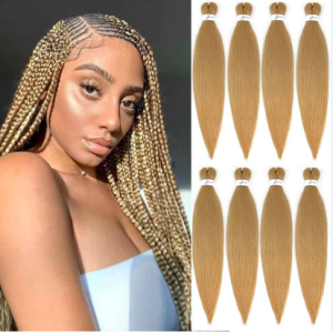 Mixed Colored Box Braids  Image