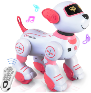 Remote Control Toys For Dogs Image