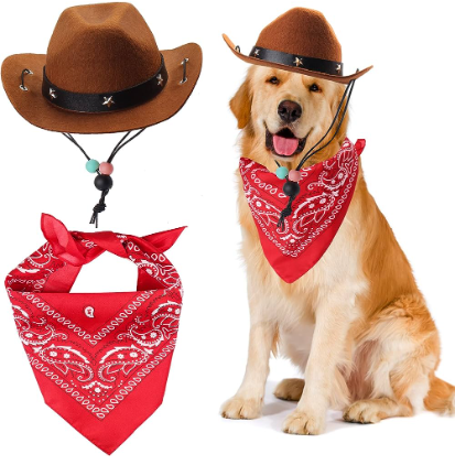 Best Dog Cowboy Hat