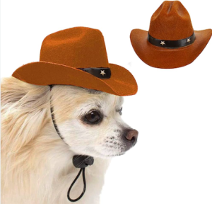 Dog Cowboy Hat near me