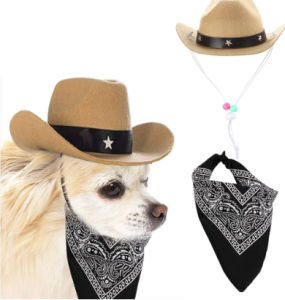 Dog Cowboy Hat Image