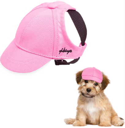 Best Dog Hats With Ear Holes