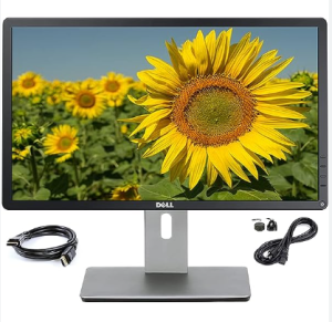 Dell 22 Inch Monitor near me