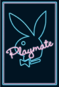 Playboy Poster Image