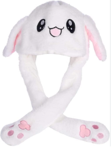 Bunny Hat Image