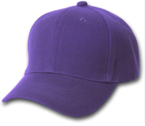 Purple Fitted Hat Image