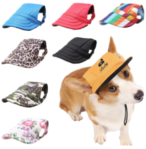 Dog Hats With Ear Holes Image