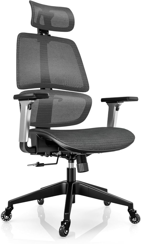 Swivel Ergonomic Task Chair